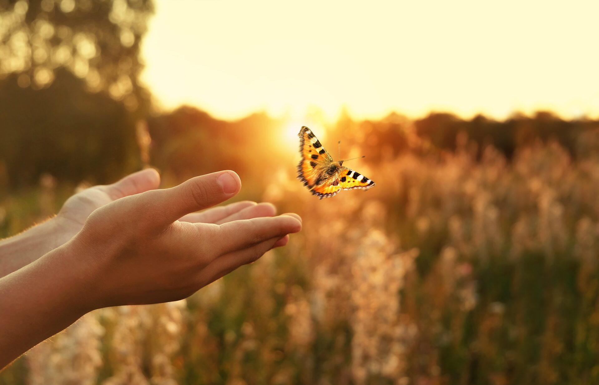 Hand mit Schmetterling