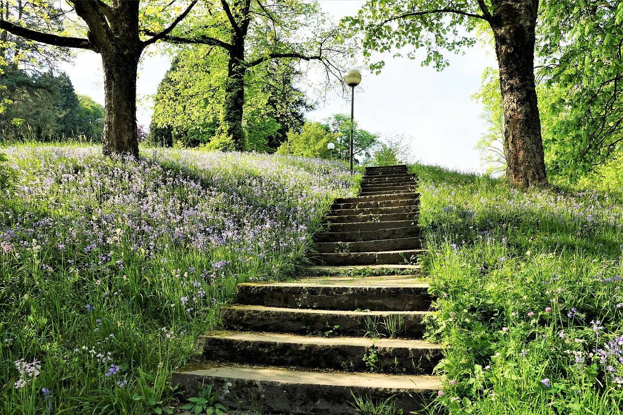 Treppe in der Natur
